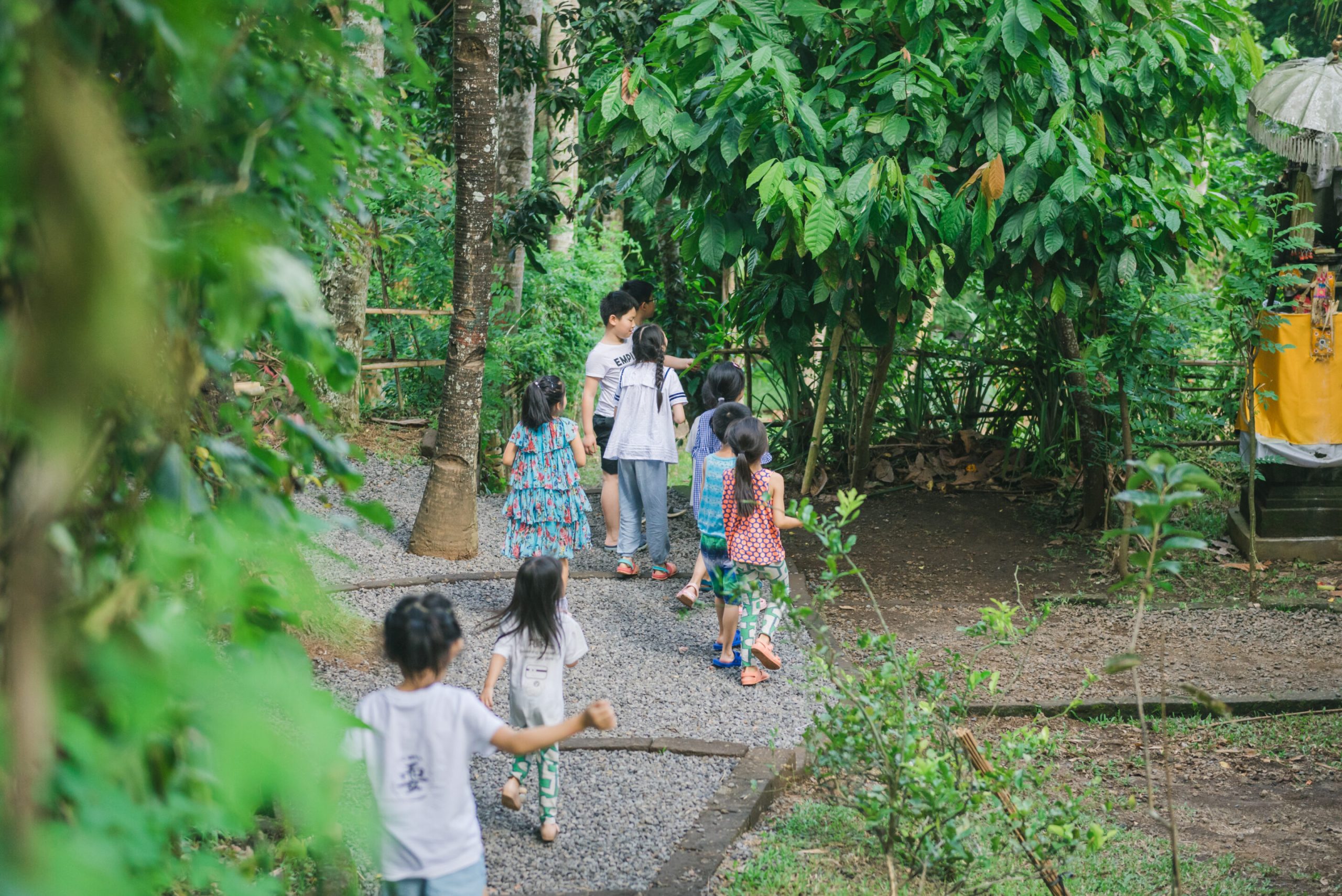 Green Camp Bali Kids
