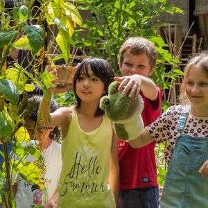 Green English Camp